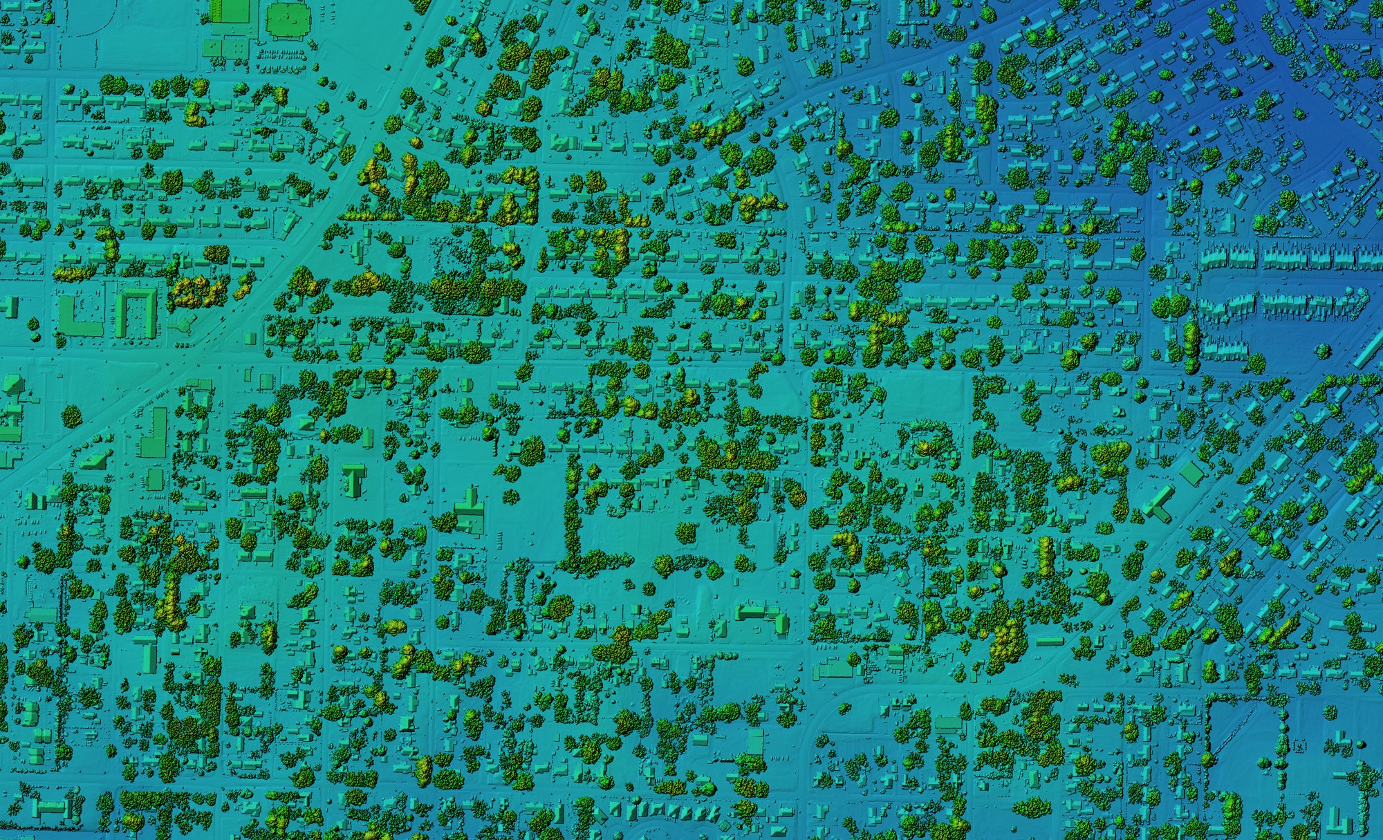 Colorized LiDAR-derived elevation model showing buildings and tree canopy